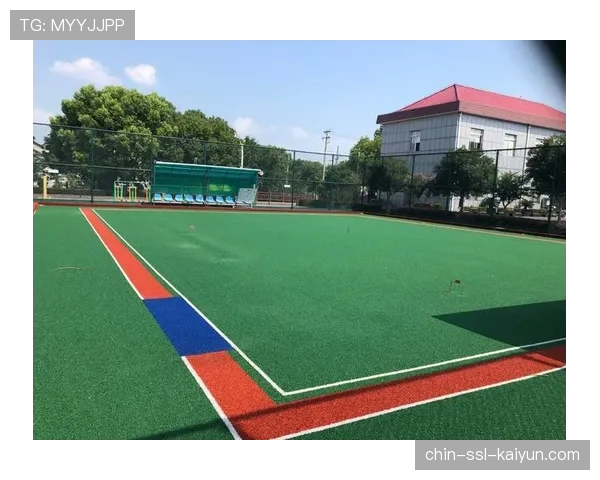 球场智慧清洁设备的采购、维护与成本核算,球场设施 球场智慧清洁设备的采购、维护与成本核算,球场设施